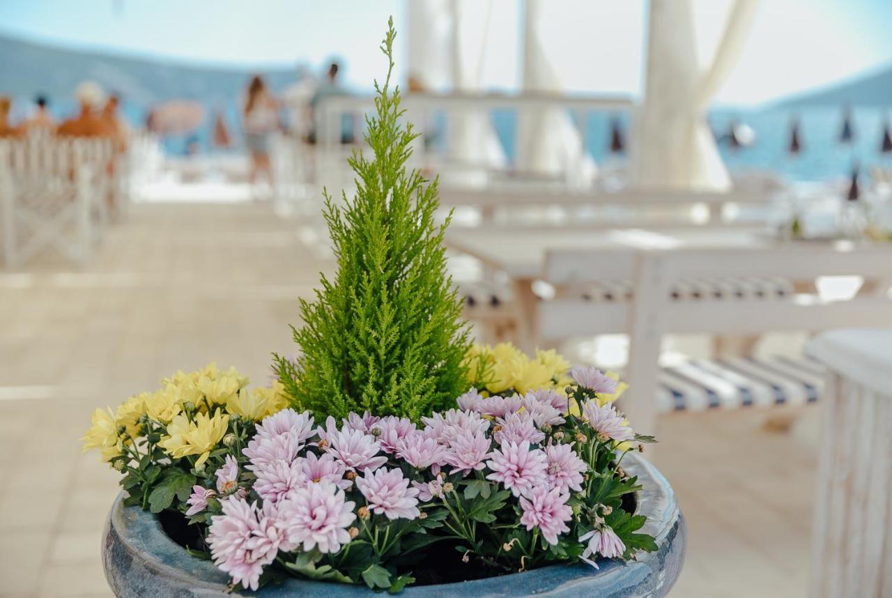 Apartmani Laban Herceg Novi Exterior photo